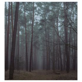Waldinneres VI