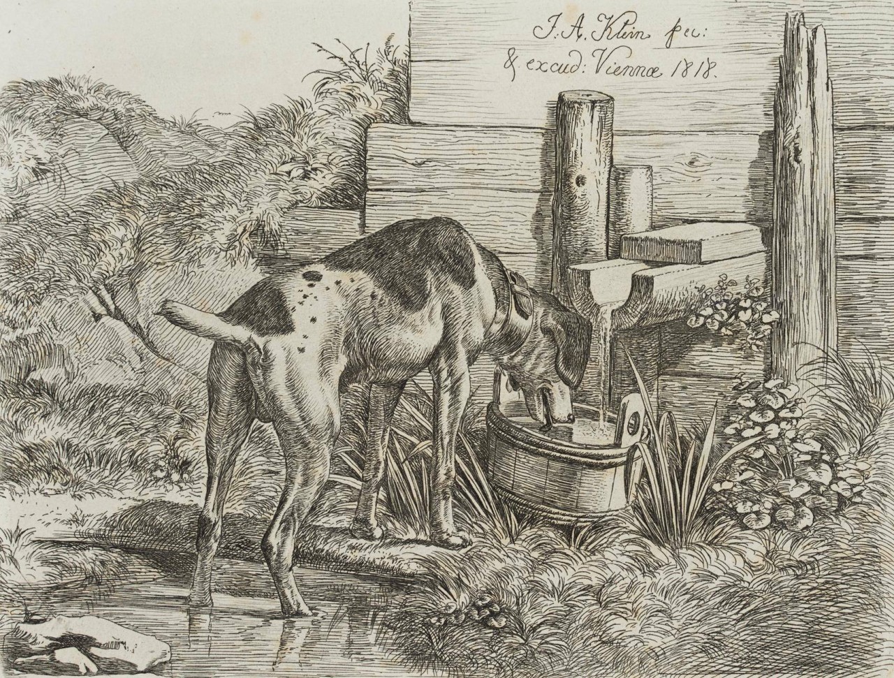 Der Hühnerhund am Röhrenbrunnen
