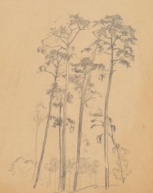 Baumgruppe, Studie