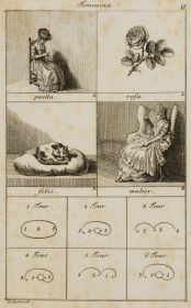 Illustration lateinischer Genera und Grammatik