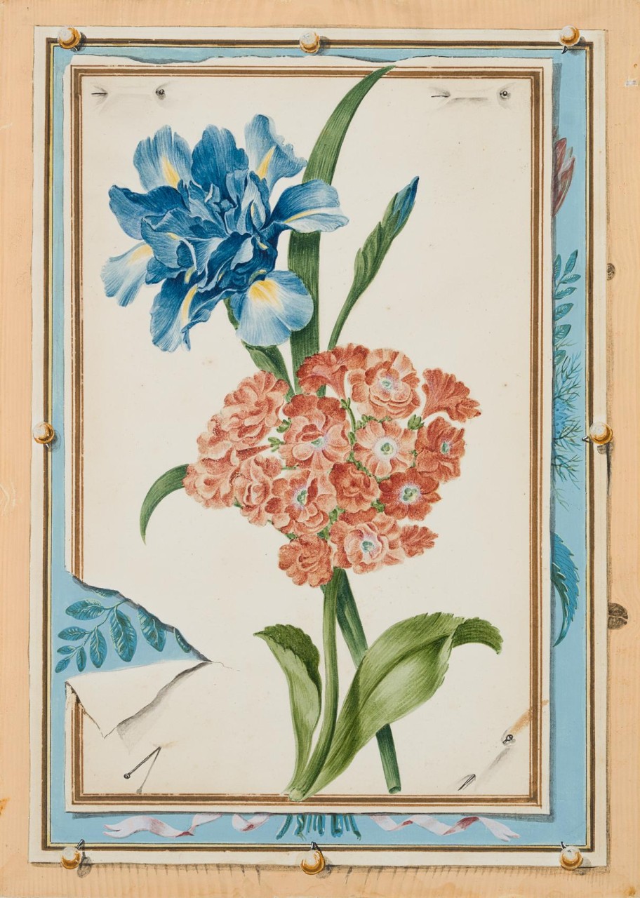 Quodlibet mit Blumenaquarell mit gefüllter Schwertlile und Primel