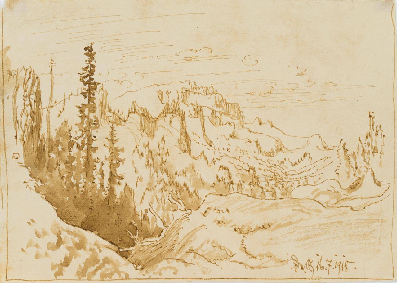 Bewaldetes Gebirge