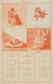 Illustration lateinischer Genera und Grammatik