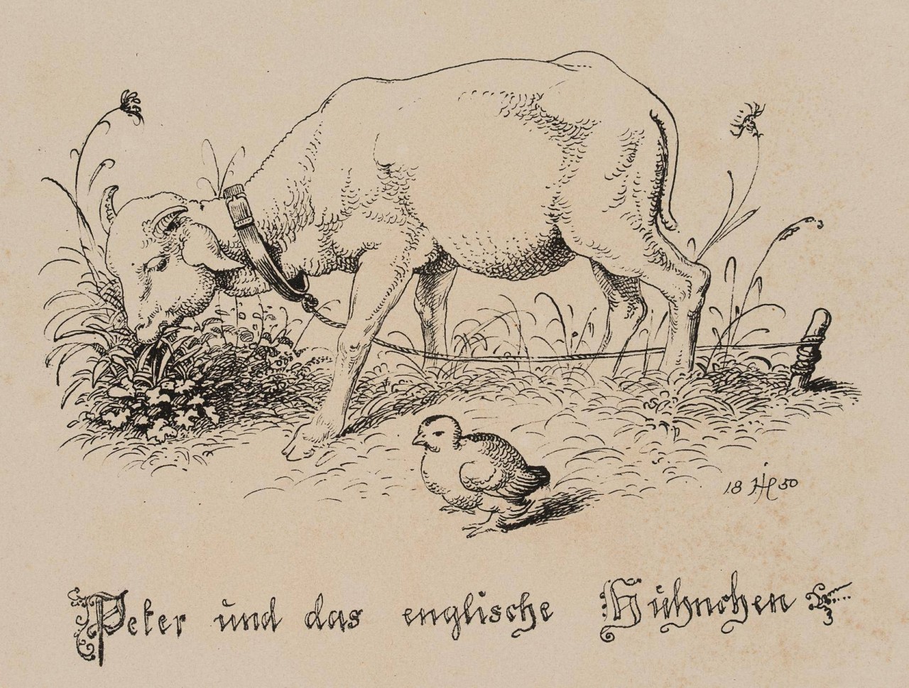 Peter und das englische Hühnchen