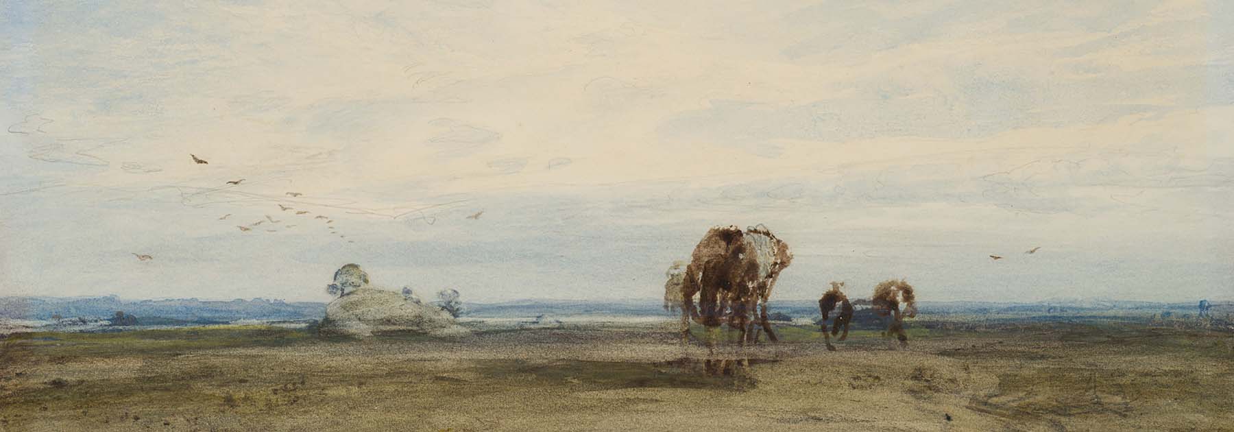 Blick in eine Ausstellung von H. W. Fichter Kunsthandel