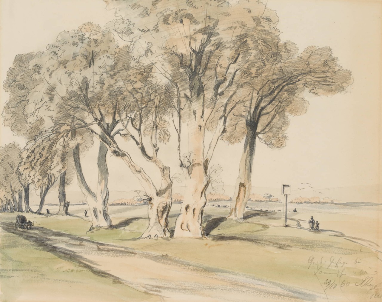 Allee im Ostragehege, Dresden