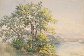 Bäume am Waginger See