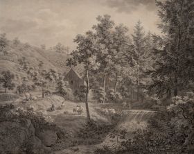 Parthie aus dem Loschwitzer Grund