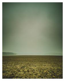 Feld I