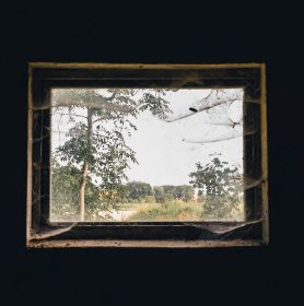 Spinnweben am Fenster