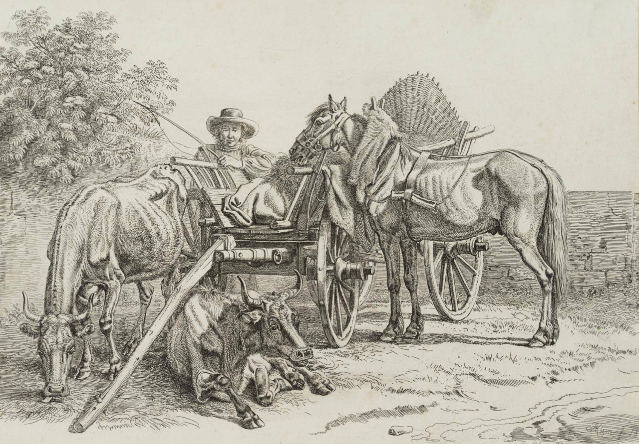 Nürnberger Bauernfuhrwerk