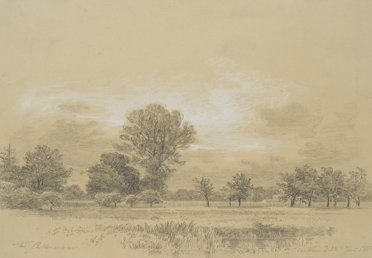 Weiher, Bäume und Wiese in Pankow
