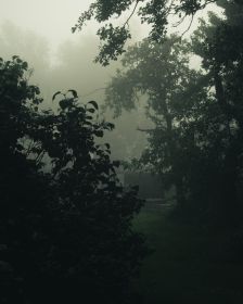 Morgennebel