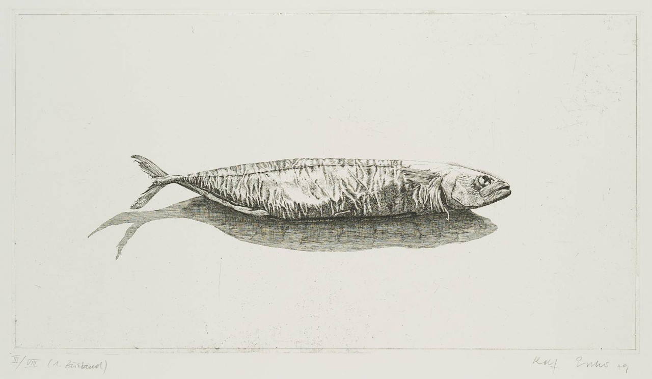 Radierfisch, 1. Zustand