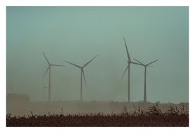 Feld II