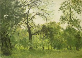 Waldlichtung im Sommer