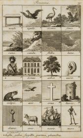 Illustration lateinischer Genera