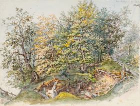 Wäldchen in den Alpen