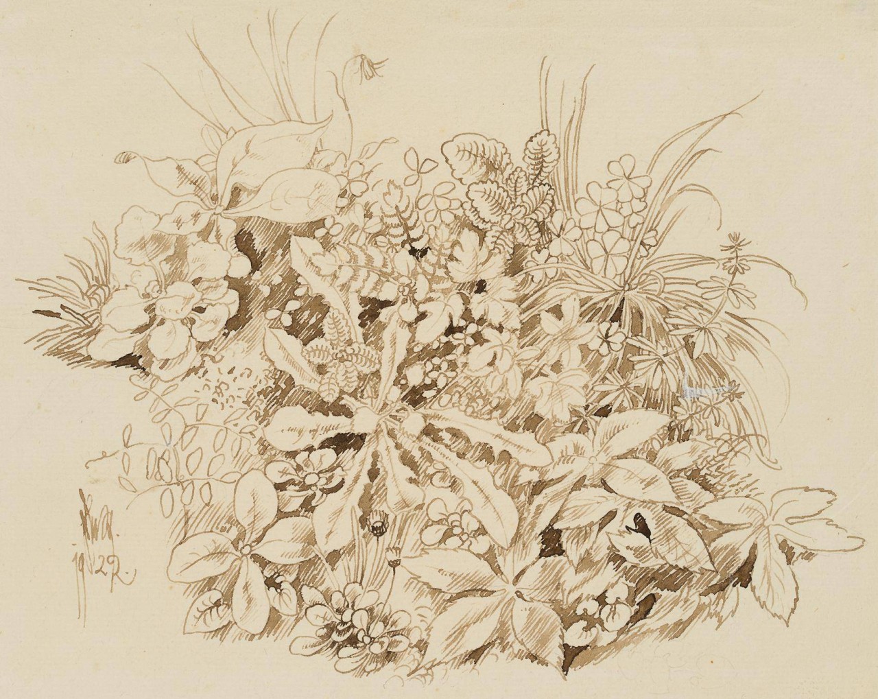 Wiesenstück mit Klee