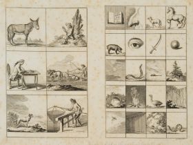 Illustration lateinischer Genera