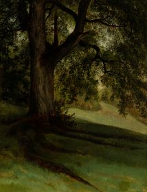 Waldwiese