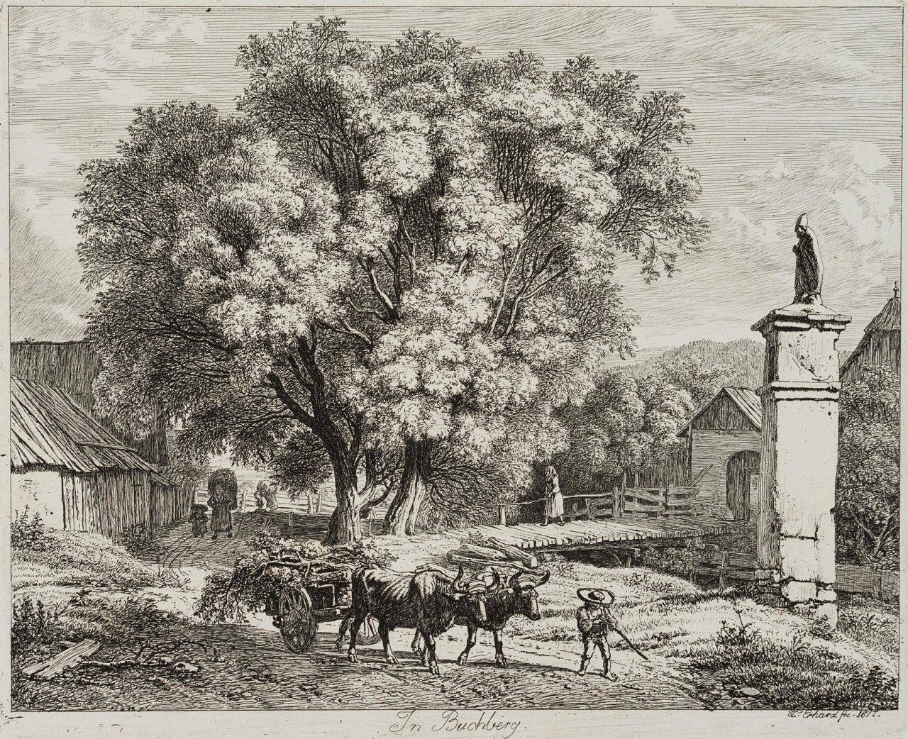Ochsenkarren in Buchberg