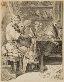 Der Vogelkundler