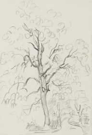Baum am Wegrand