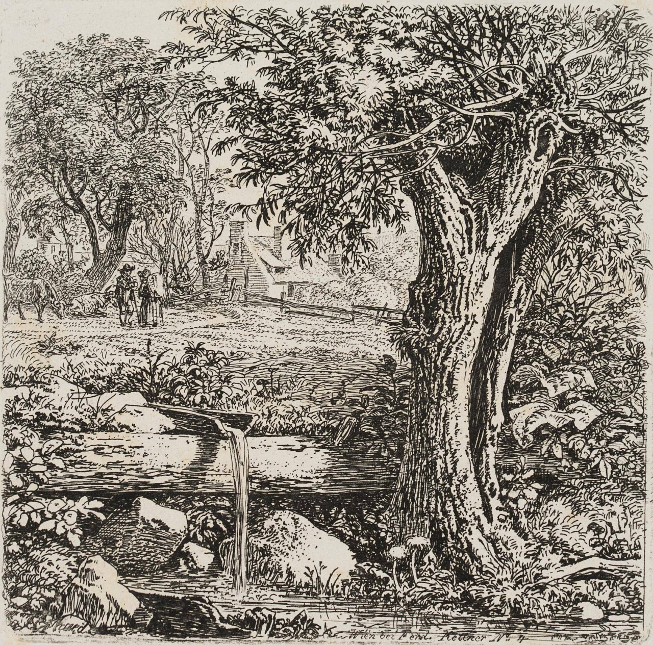 Wasserrinne neben dem Weidenbaum
