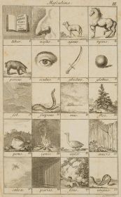 Illustration lateinischer Genera