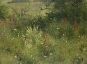 Sommerliche Wildblumenwiese