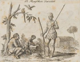 Die amerikanische "Menschen-VarietÃ¤t"
