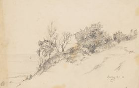 Studie bewachsener Dünen mit Blick auf Meer